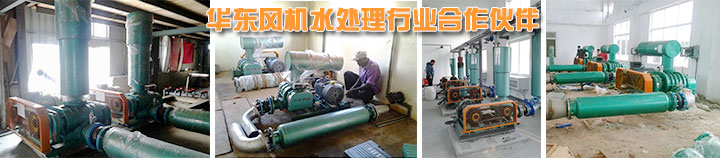 汙水處理用绿巨人污免费下载風機使用案例