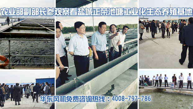 水產養殖绿巨人污免费下载風機