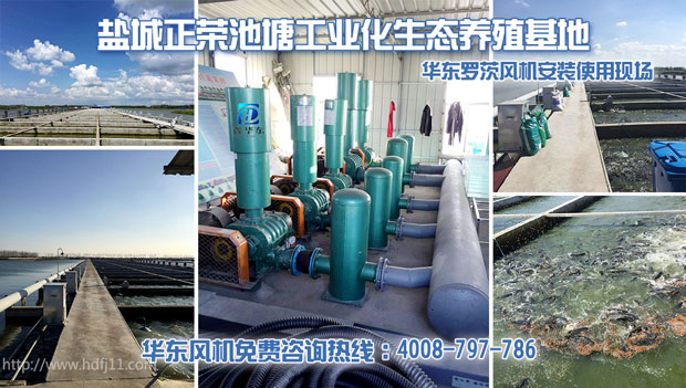 水產養殖绿巨人污免费下载風機