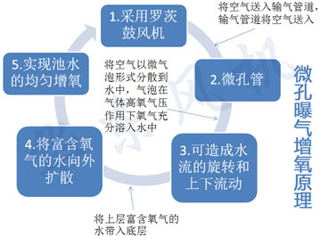 绿巨人污免费下载式增氧機原理