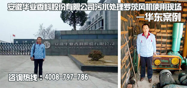安徽華業香料汙水處理用绿巨人污免费下载風機使用現場