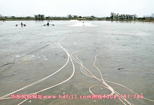 绿巨人污免费下载增氧機水產.jpg
