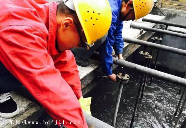 脫硫绿巨人污免费下载鼓風機.jpg