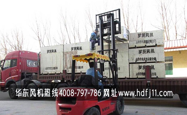 绿巨人色多多APP绿巨人污免费下载風機發貨現場實景.jpg
