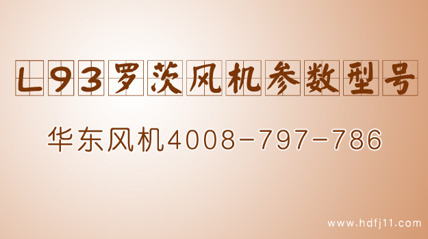 L93係列绿巨人污免费下载風機.jpg