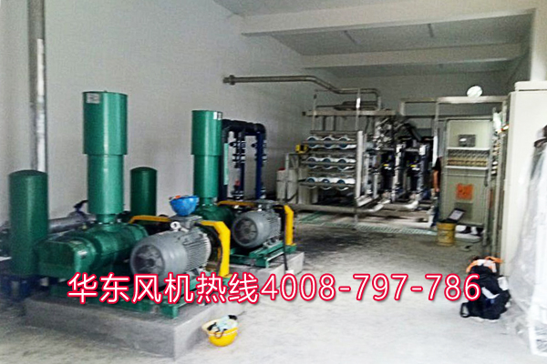 三葉绿巨人污免费下载風機