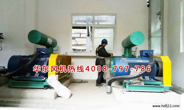 三葉绿巨人污免费下载風機