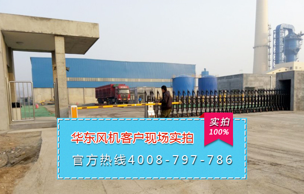 三葉绿巨人污免费下载風機