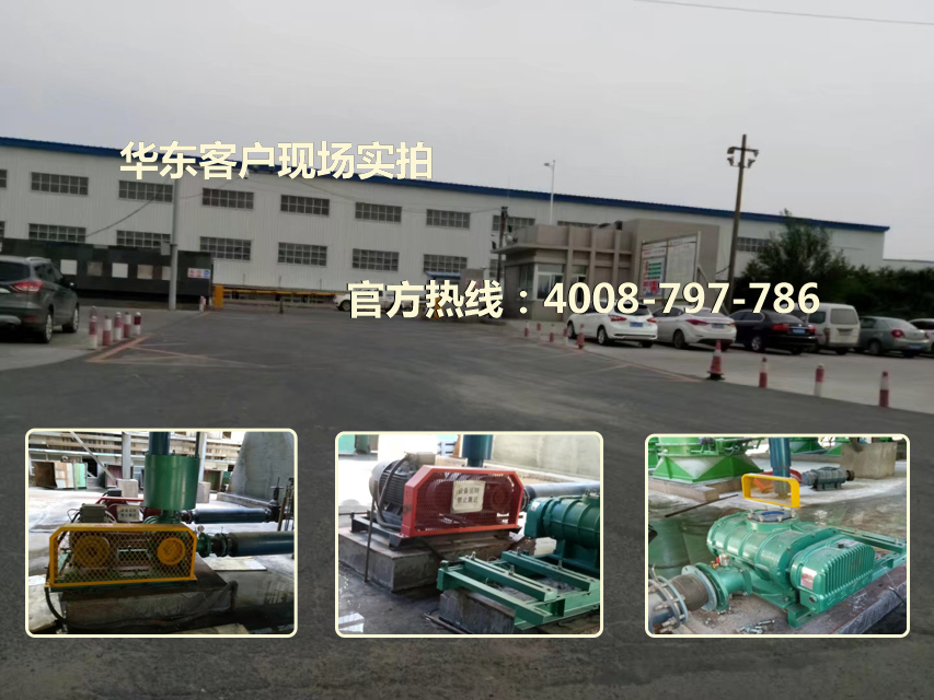三葉绿巨人污免费下载風機