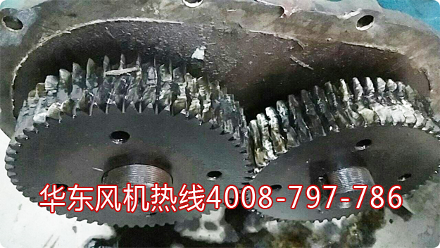 绿巨人污免费下载風機齒輪維修.jpg