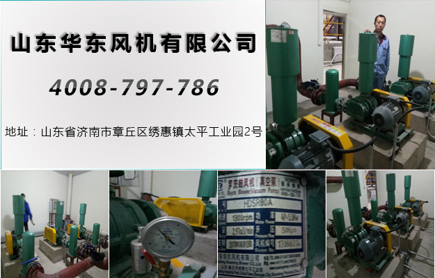 三葉绿巨人污免费下载風機