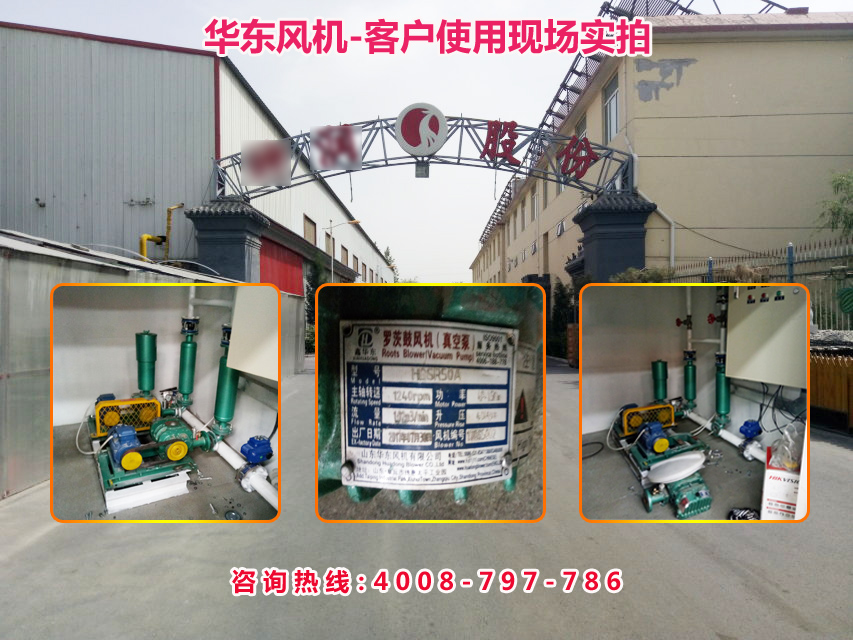 三葉绿巨人污免费下载風機