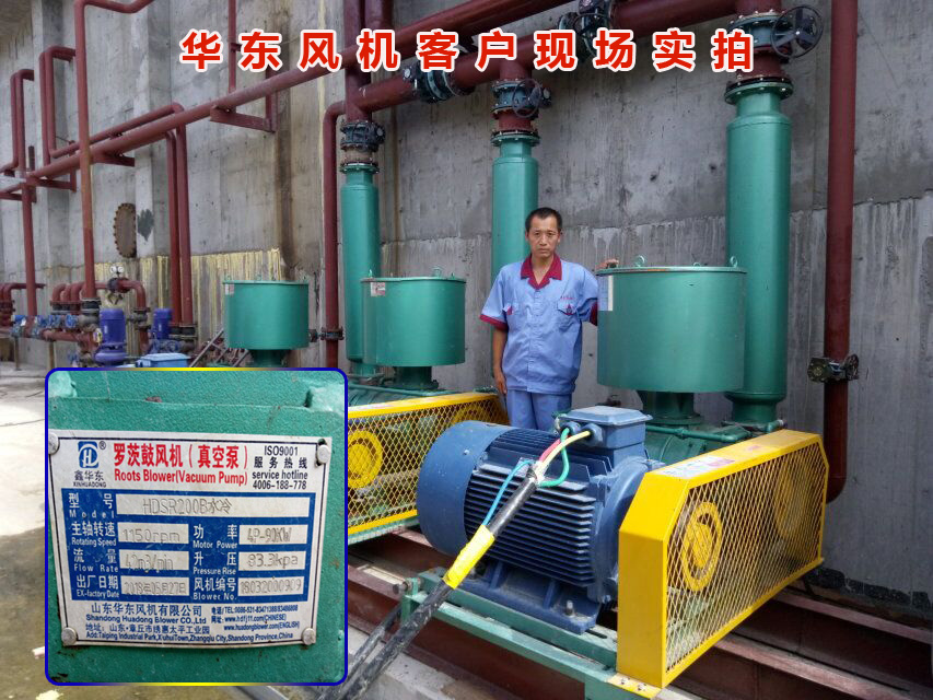 三葉绿巨人污免费下载風機