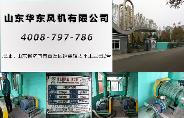 三葉绿巨人污免费下载風機