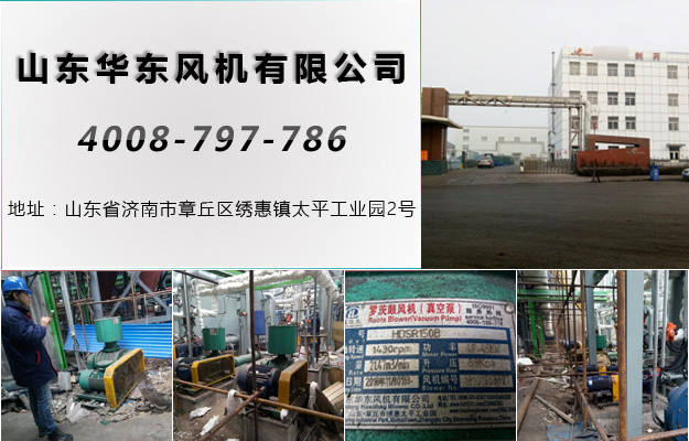 三葉绿巨人污免费下载風機