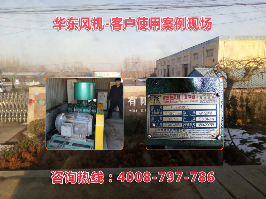 三葉绿巨人污免费下载風機