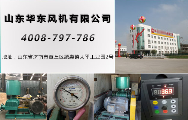 三葉绿巨人污免费下载風機