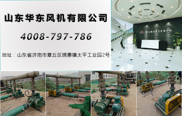 绿巨人污免费下载風機
