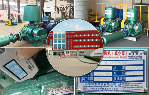 三葉绿巨人污免费下载風機