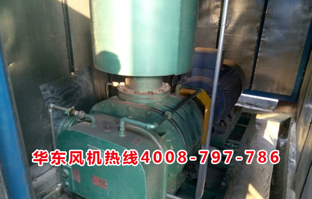三葉绿巨人污免费下载風機
