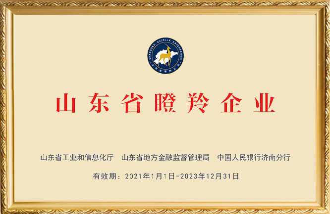 绿巨人色多多APP榮譽-山東省瞪羚企業