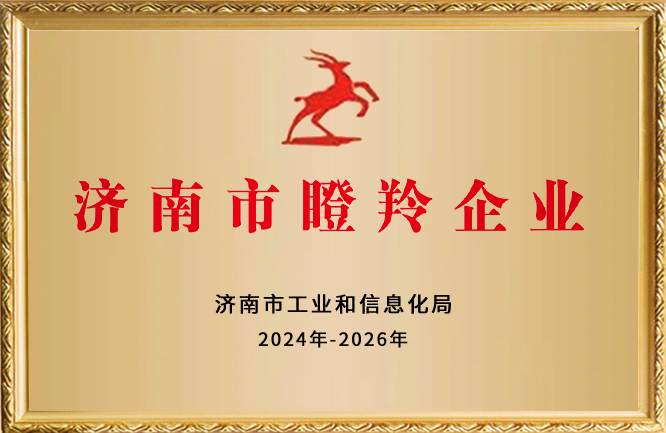 绿巨人色多多APP榮譽-濟南市瞪羚企業