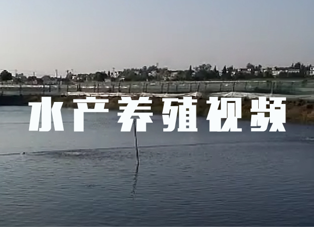 【視頻】绿巨人污免费下载鼓風機水產養殖用 現場實拍