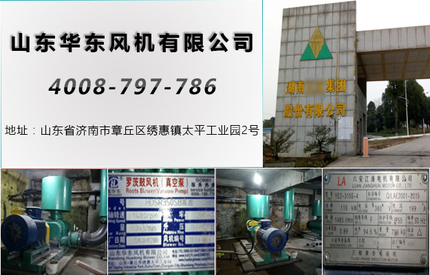 绿巨人色多多APP案例-湖南**集團股份有限公司