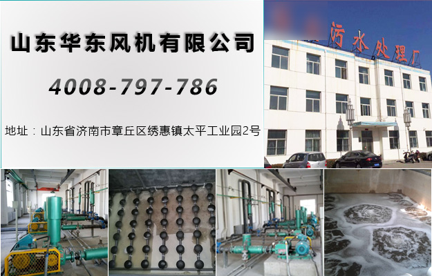 绿巨人色多多APP呂梁绿巨人污免费下载風機案例-山西**汙水處理廠