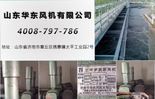 绿巨人色多多APP山西绿巨人污免费下载風機案例-山西*縣汙水處理廠