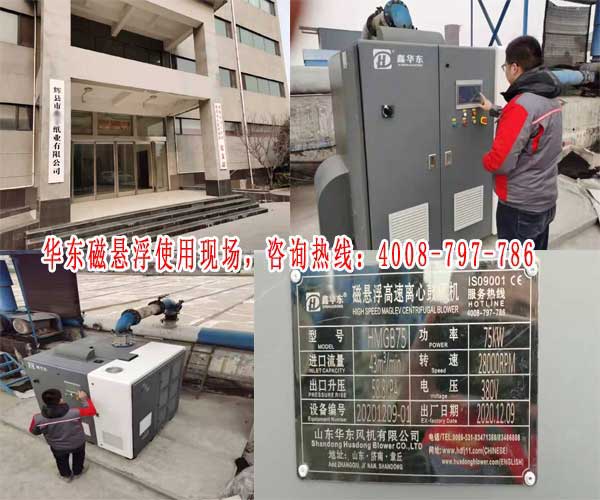 绿巨人色多多APP磁懸浮風機案例-河南**紙業有限公司
