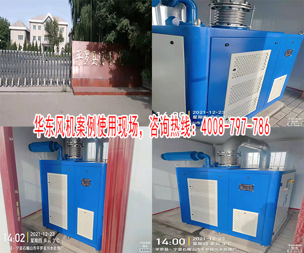 绿巨人色多多APP绿巨人视频污在线观看案例